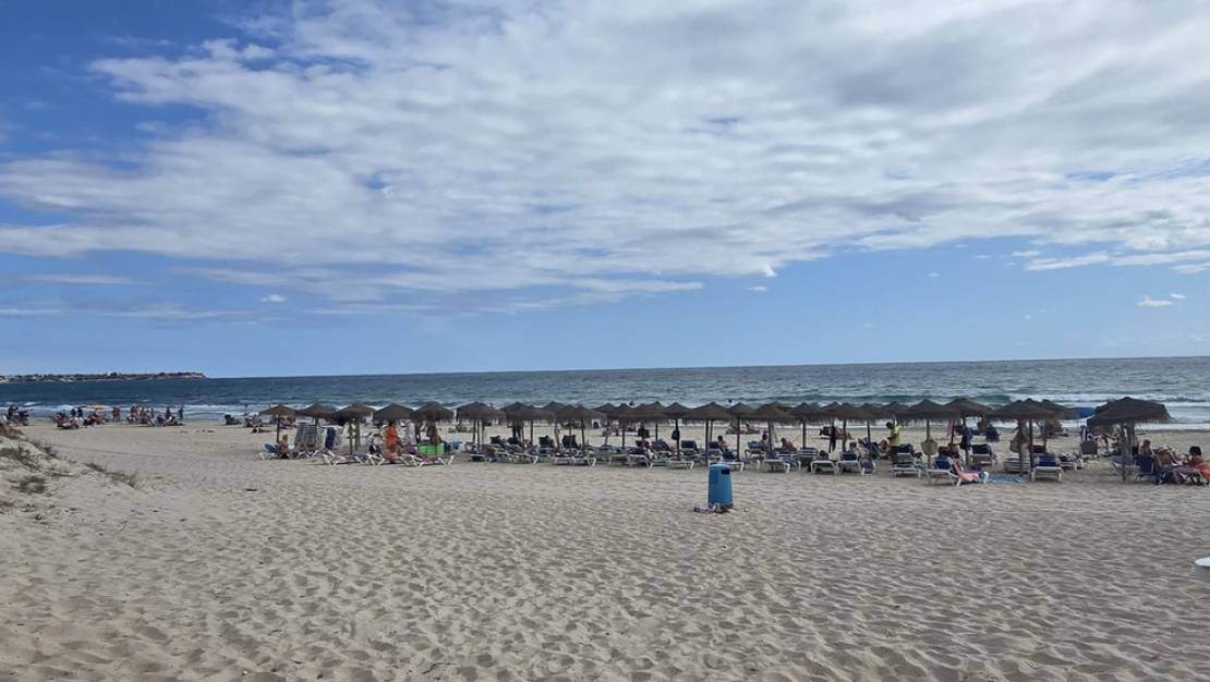 Venta - Apartment - Orihuela - Mil Palmeras