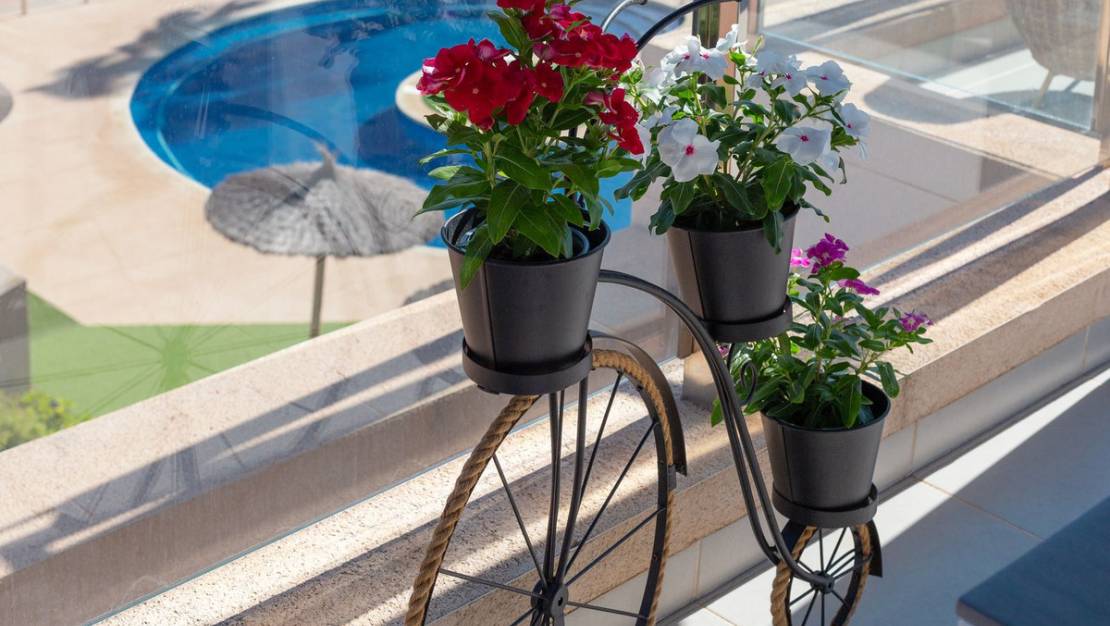 Venta - Apartment - Orihuela - Mil Palmeras