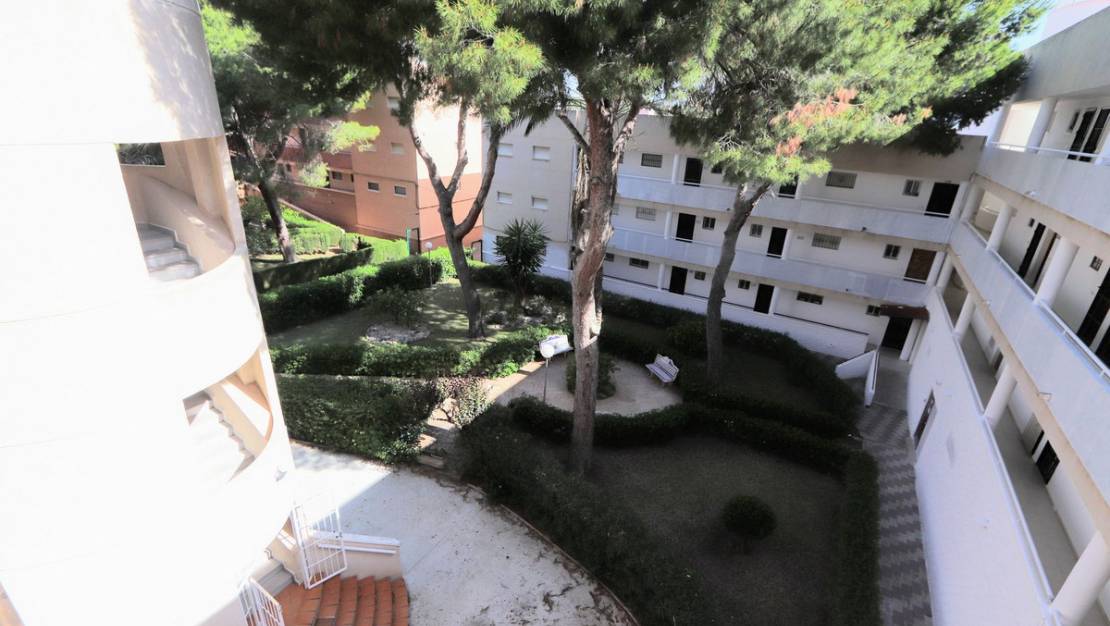 Venta - Apartment - Orihuela - Mil Palmeras