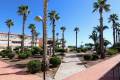 Venta - Apartment - Orihuela - Mil Palmeras