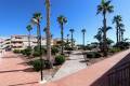 Venta - Apartment - Orihuela - Mil Palmeras