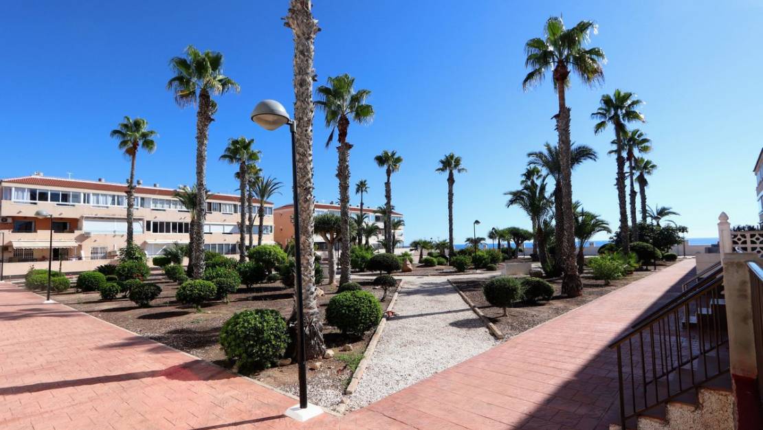 Venta - Apartment - Orihuela - Mil Palmeras