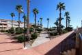 Venta - Apartment - Orihuela - Mil Palmeras