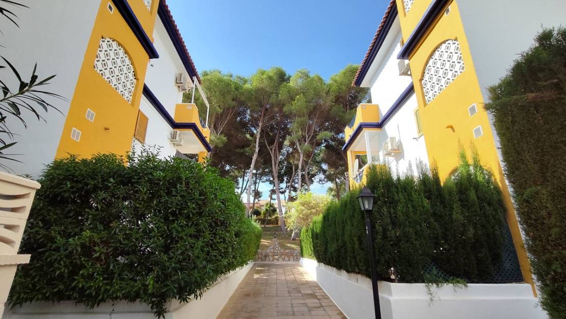 Venta - Apartment - Orihuela - Mil Palmeras