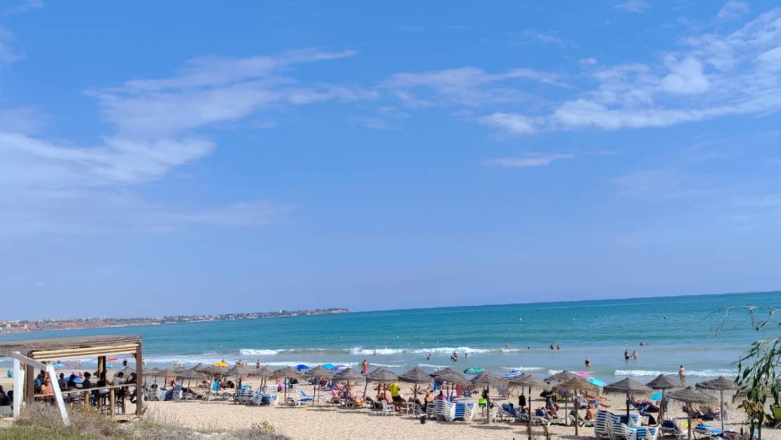 Venta - Apartment - Orihuela - Mil Palmeras