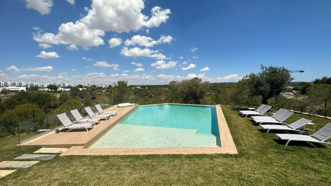 Venta - Apartment - Orihuela - Orihuela Centro