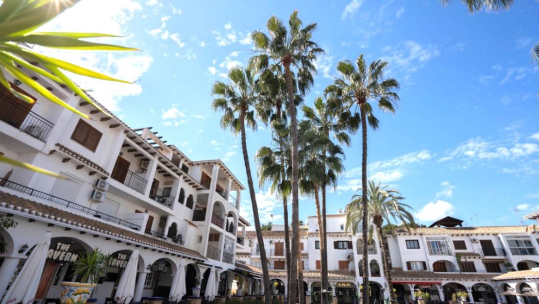 Venta - Apartment - Orihuela - Orihuela Centro