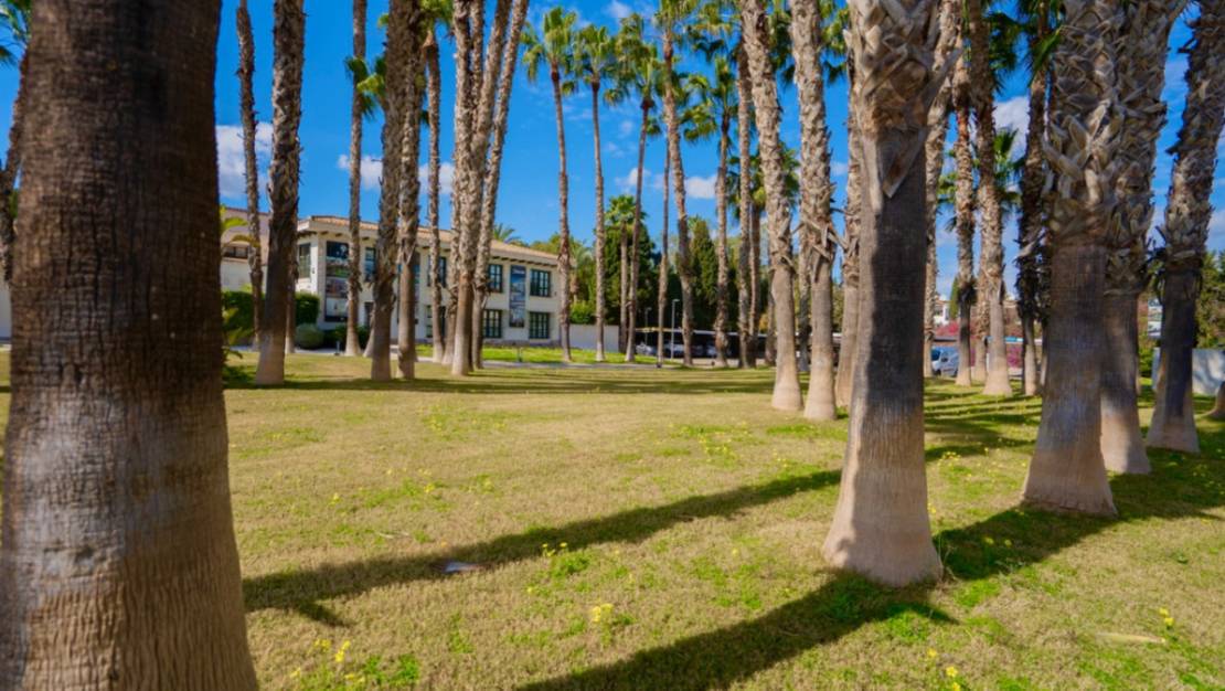 Venta - Apartment - Orihuela - Orihuela Centro