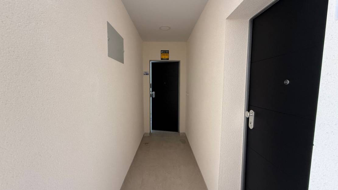 Venta - Apartment - Orihuela - Orihuela Centro