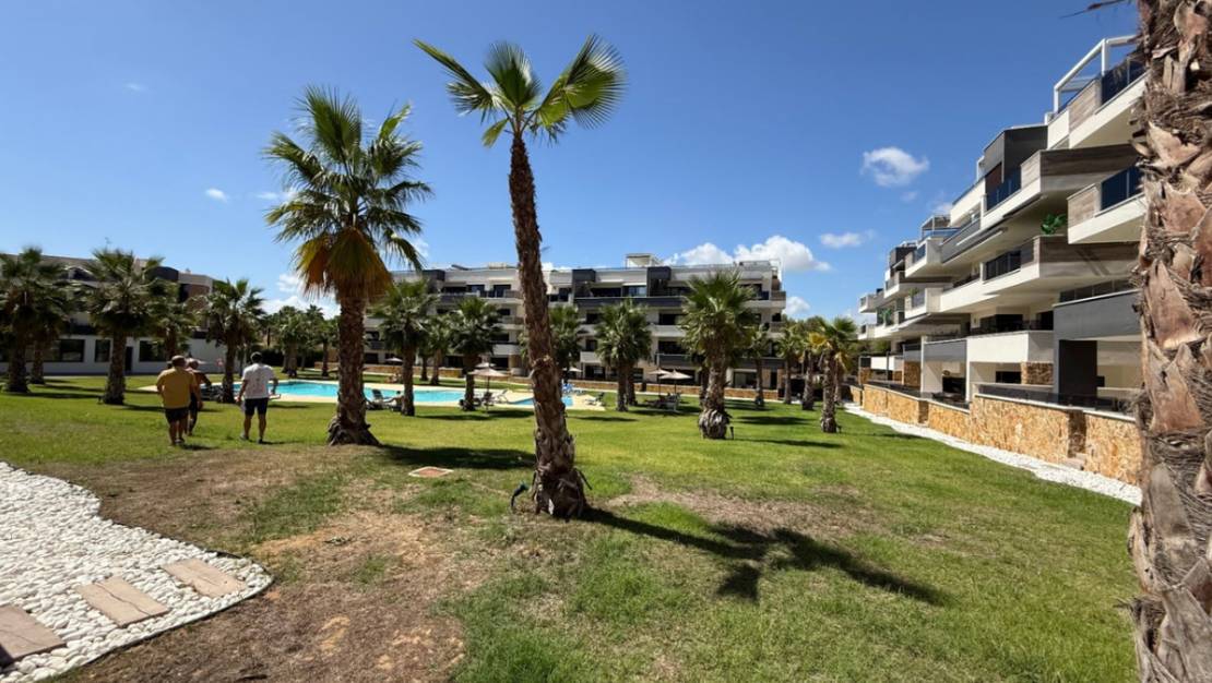 Venta - Apartment - Orihuela - Orihuela Centro