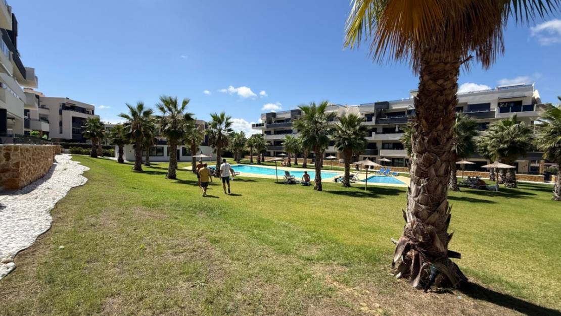 Venta - Apartment - Orihuela - Orihuela Centro