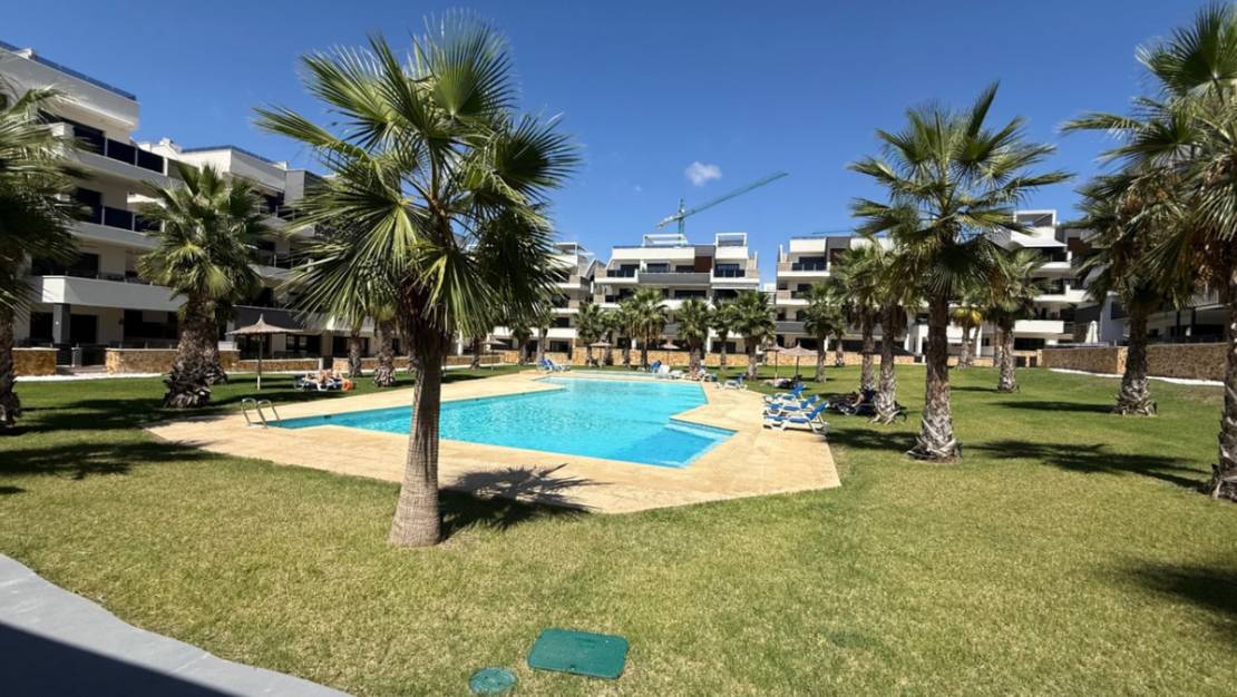 Venta - Apartment - Orihuela - Orihuela Centro