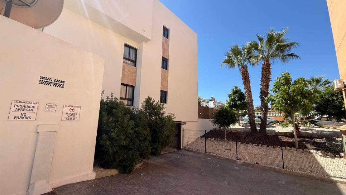 Venta - Apartment - Orihuela - Orihuela Centro