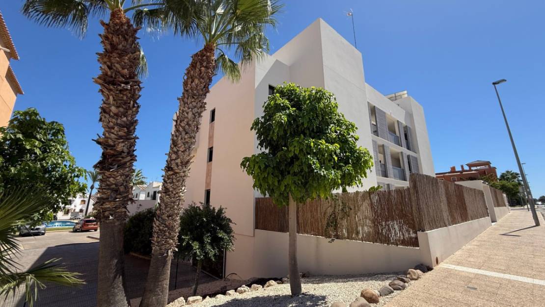 Venta - Apartment - Orihuela - Orihuela Centro