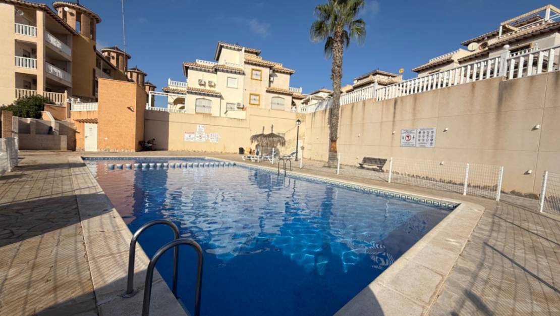 Venta - Apartment - Orihuela - Orihuela Centro