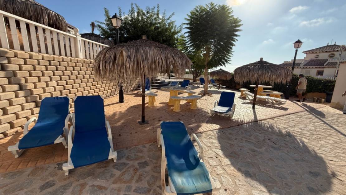 Venta - Apartment - Orihuela - Orihuela Centro