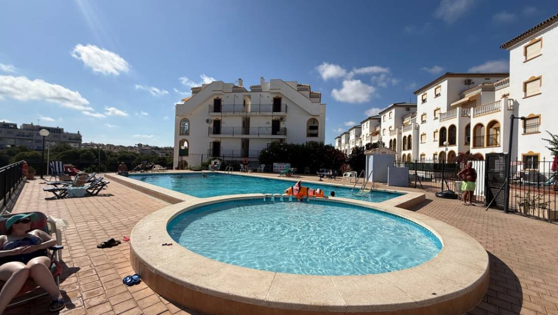 Venta - Apartment - Orihuela - Orihuela Centro