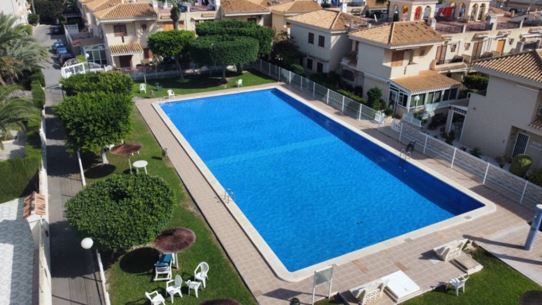Venta - Apartment - Orihuela - Orihuela Centro