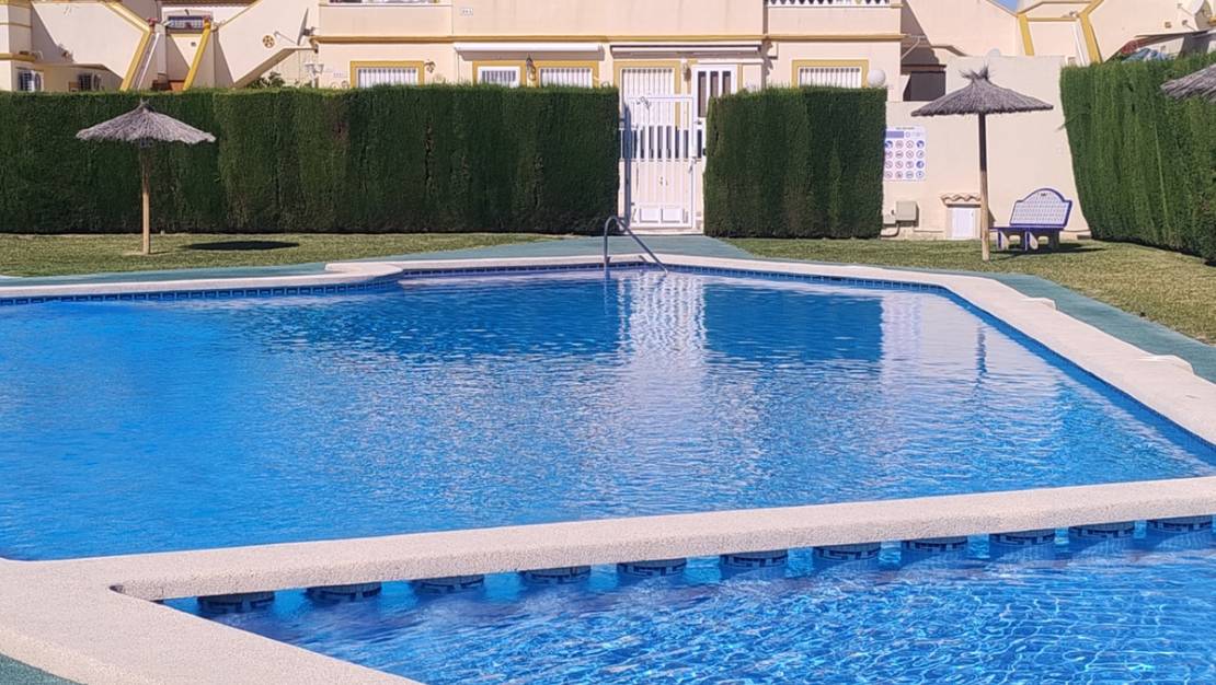 Venta - Apartment - Orihuela - Orihuela Centro