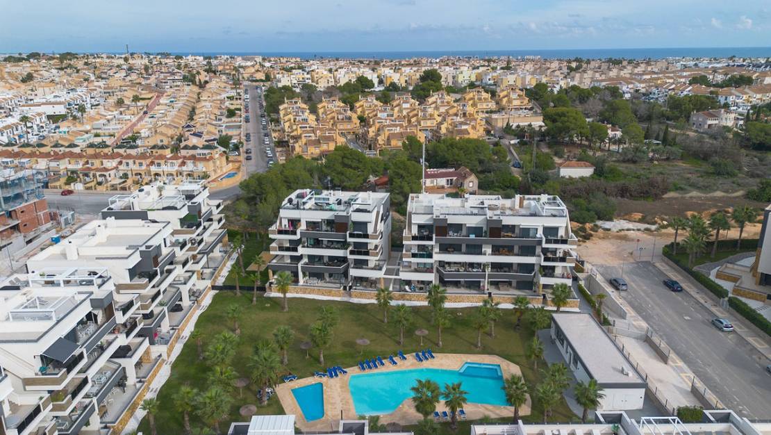 Venta - Apartment - Orihuela - Orihuela Centro