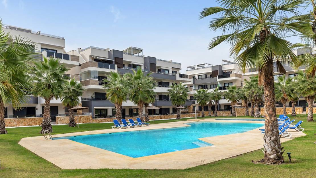 Venta - Apartment - Orihuela - Orihuela Centro