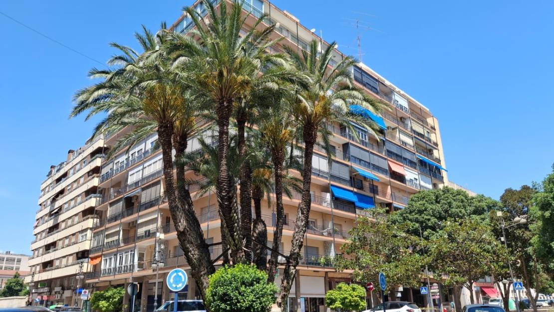 Venta - Apartment - Orihuela - Orihuela Centro