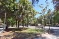 Venta - Apartment - Orihuela - Orihuela Centro