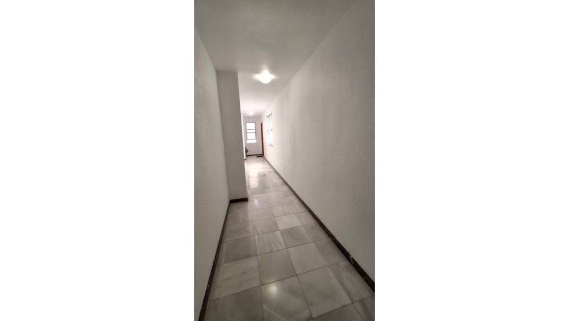 Venta - Apartment - Orihuela - Orihuela Centro