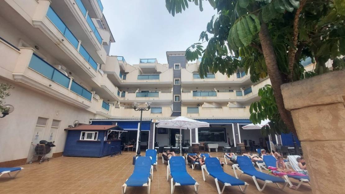 Venta - Apartment - Orihuela - Orihuela Centro