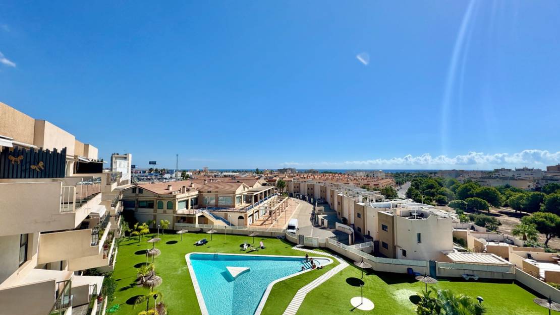 Venta - Apartment - Orihuela - Orihuela Centro