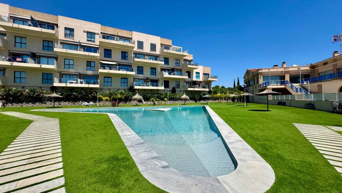Venta - Apartment - Orihuela - Orihuela Centro