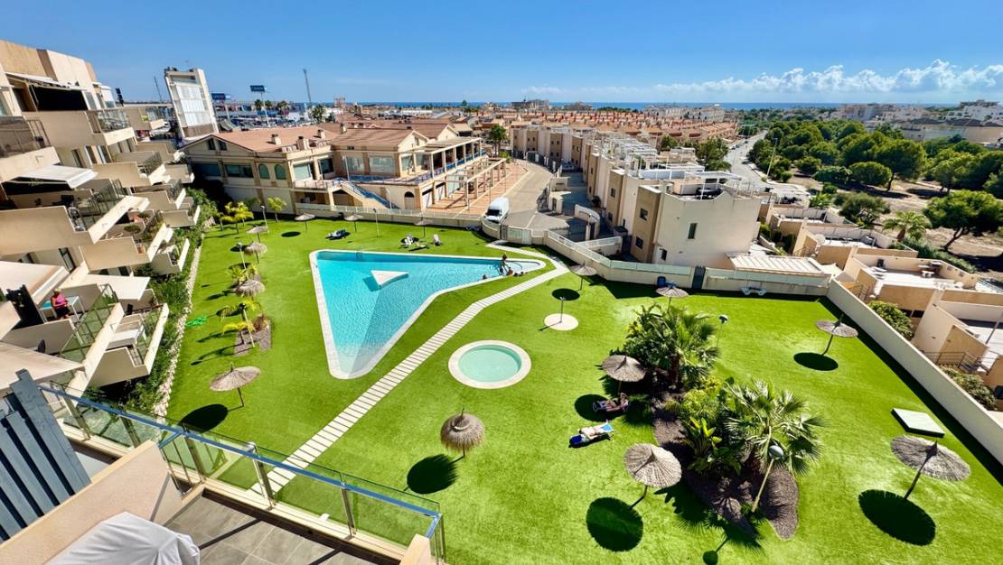 Venta - Apartment - Orihuela - Orihuela Centro