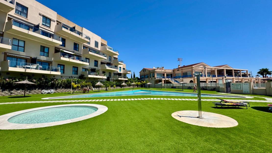 Venta - Apartment - Orihuela - Orihuela Centro