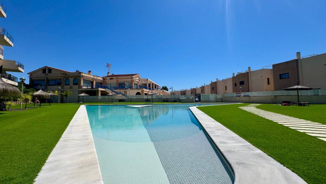 Venta - Apartment - Orihuela - Orihuela Centro