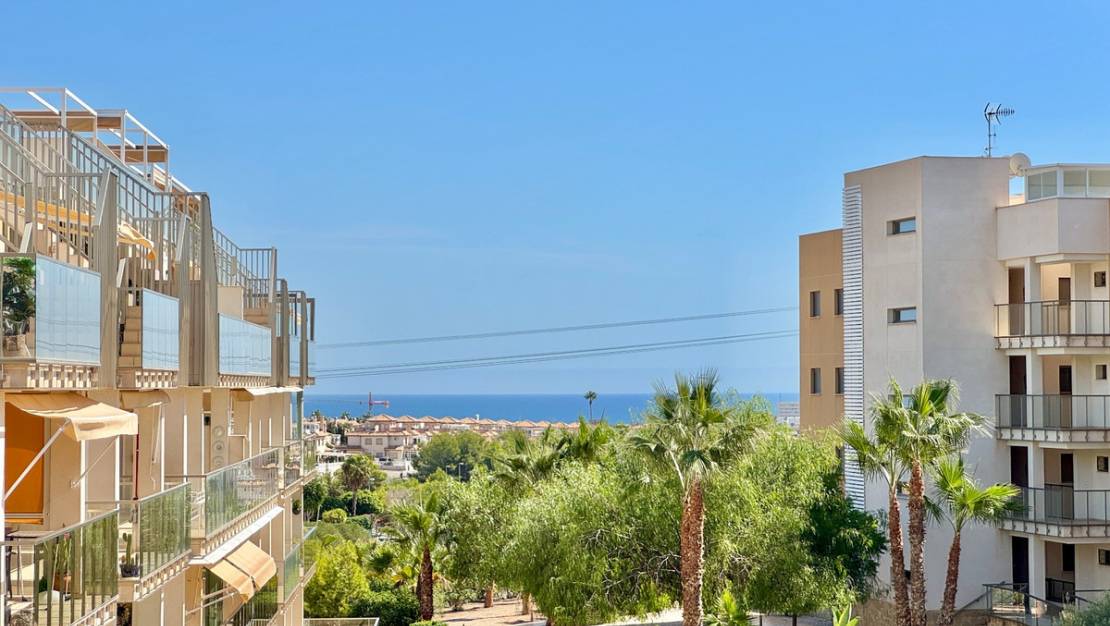 Venta - Apartment - Orihuela - Orihuela Centro
