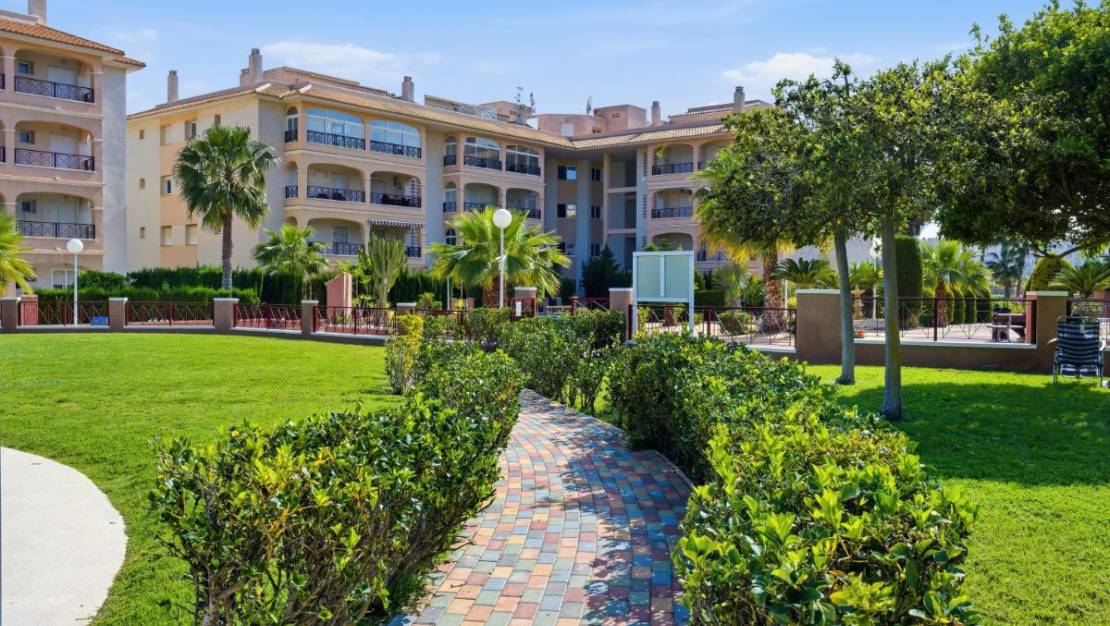 Venta - Apartment - Orihuela - Orihuela Centro