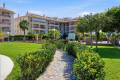 Venta - Apartment - Orihuela - Orihuela Centro