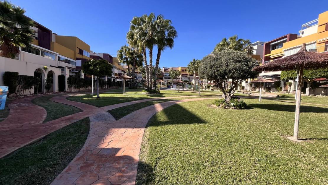 Venta - Apartment - Orihuela - Orihuela Costa