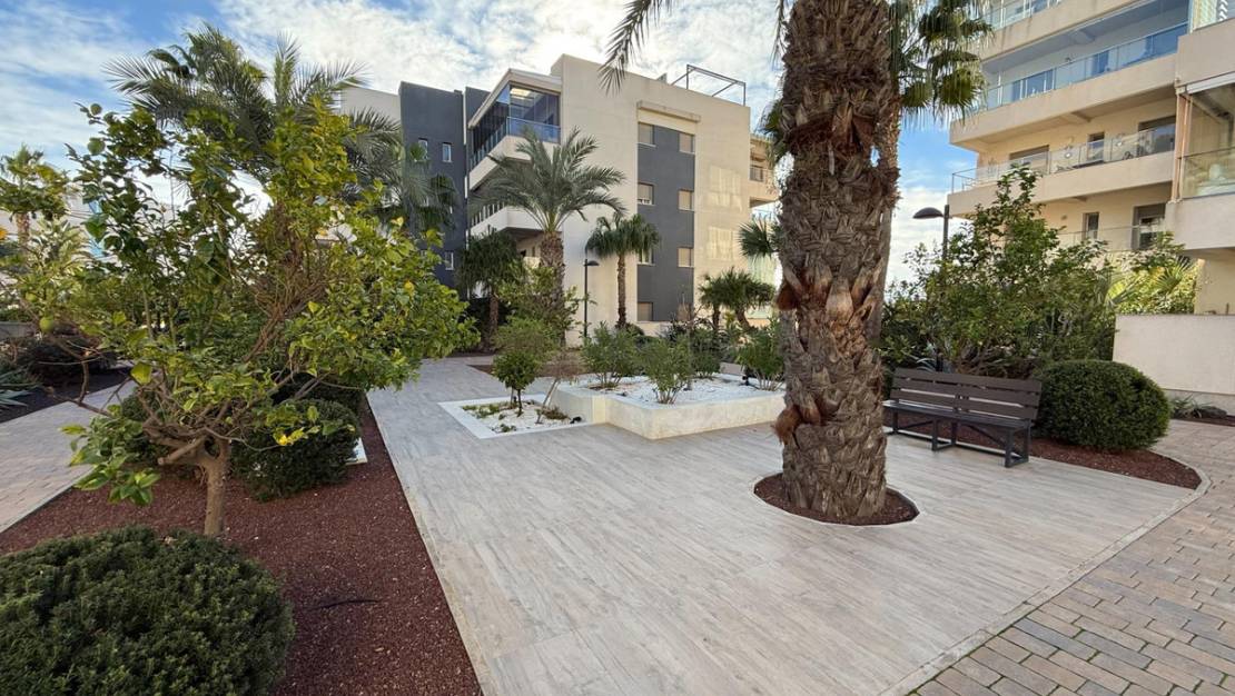 Venta - Apartment - Orihuela - Orihuela Costa