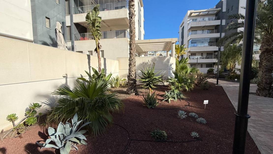 Venta - Apartment - Orihuela - Orihuela Costa