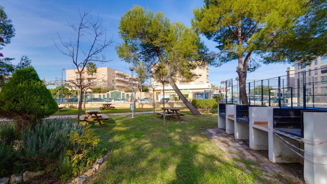 Venta - Apartment - Orihuela - Orihuela Costa