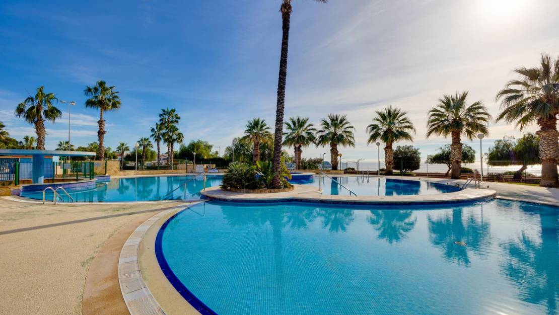 Venta - Apartment - Orihuela - Orihuela Costa