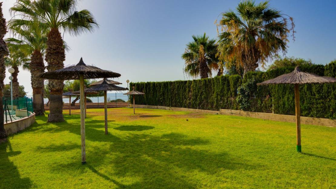 Venta - Apartment - Orihuela - Orihuela Costa