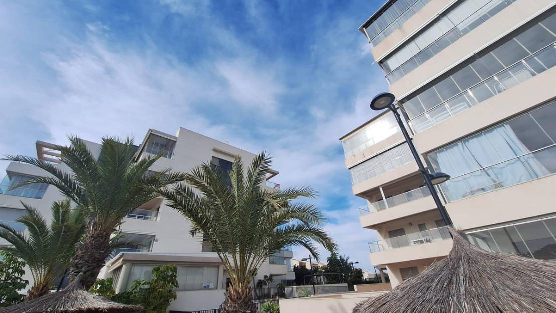 Venta - Apartment - Orihuela - Orihuela Costa