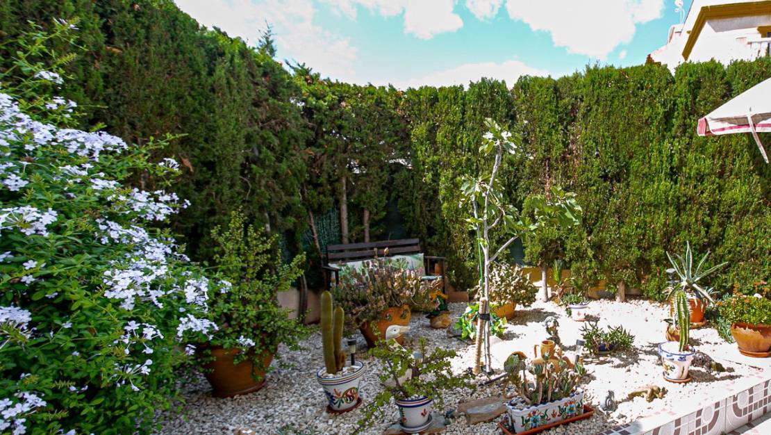 Venta - Apartment - Orihuela - Orihuela Costa