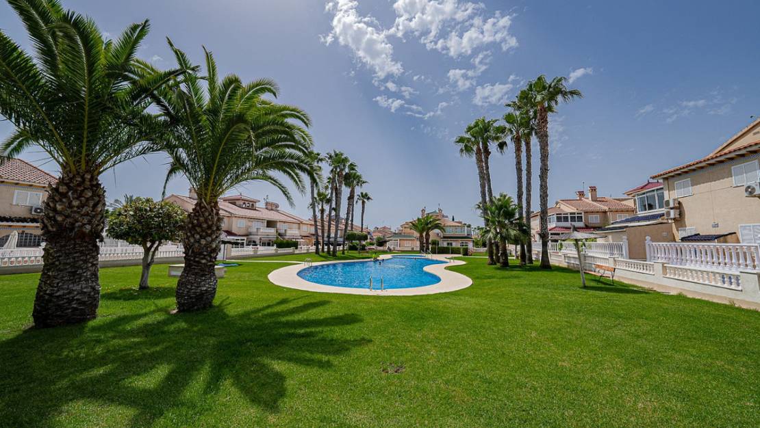 Venta - Apartment - Orihuela - Orihuela Costa
