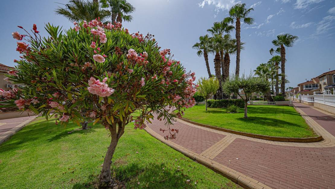 Venta - Apartment - Orihuela - Orihuela Costa