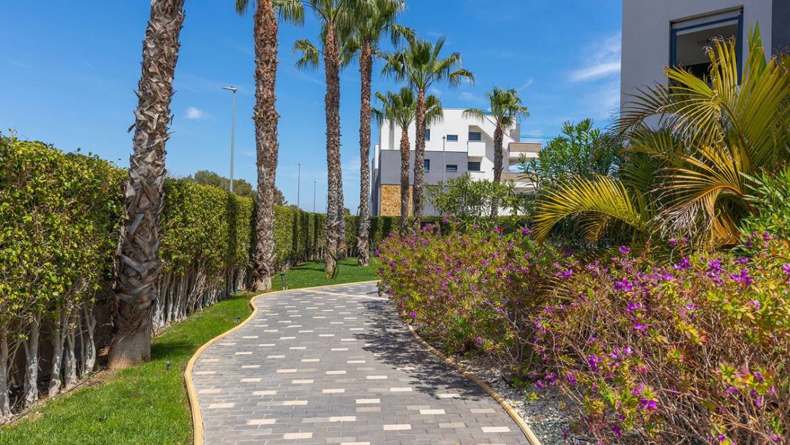 Venta - Apartment - Orihuela - Orihuela Costa