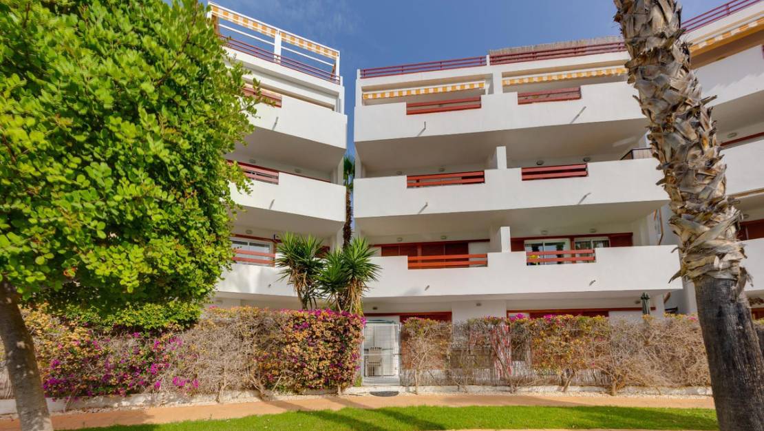Venta - Apartment - Orihuela - Orihuela Costa
