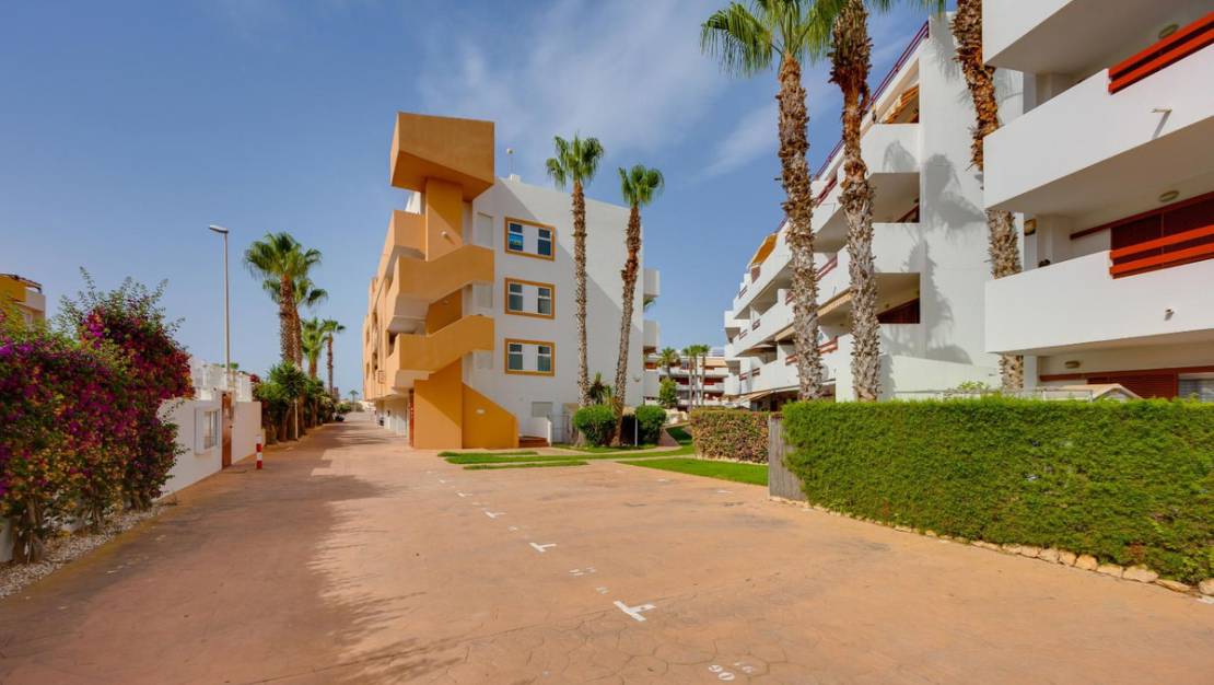 Venta - Apartment - Orihuela - Orihuela Costa